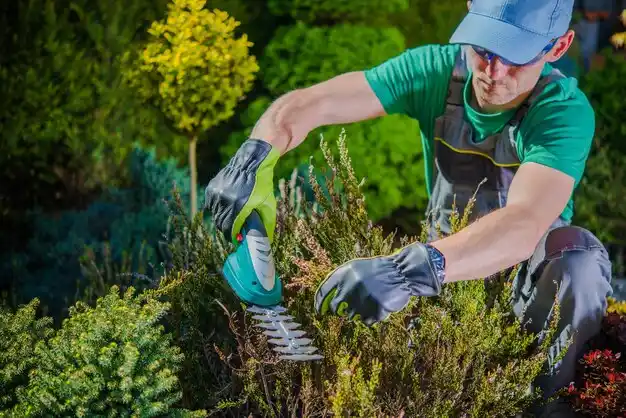 landscaping services Cinnamon Lake